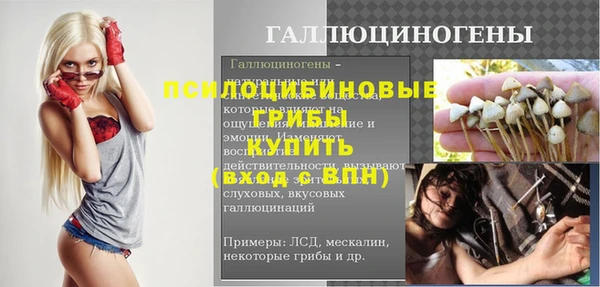 соль ск Надым